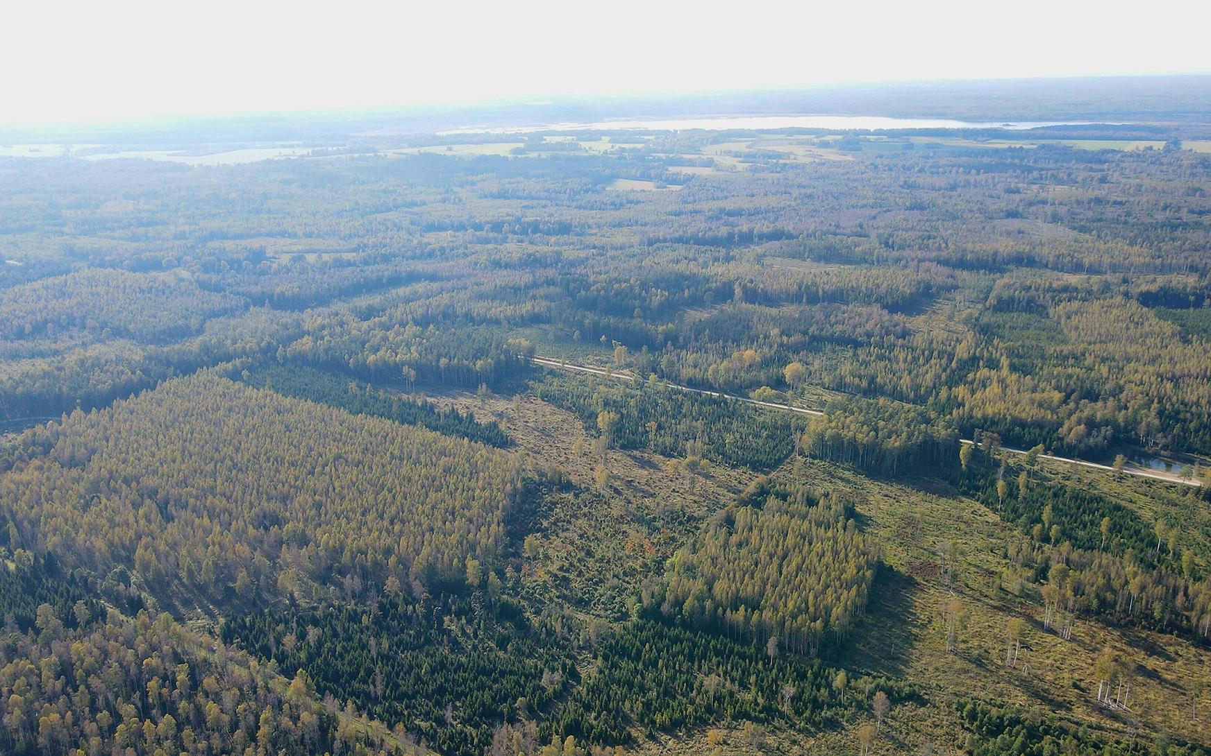 Infinitum Building Mines, explosives, missile firms to operate at Estonia's new defense ...